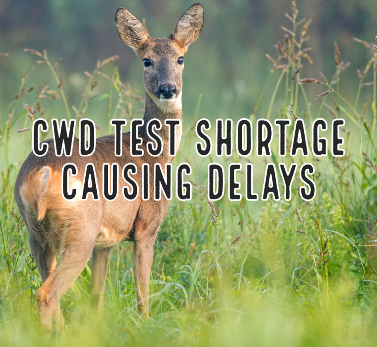 Nationwide Test Shortage Causing CWD Delays for Hunters - Hatchie Press