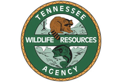TWRA Issues 2026 Memorial Day Holiday Boating Report