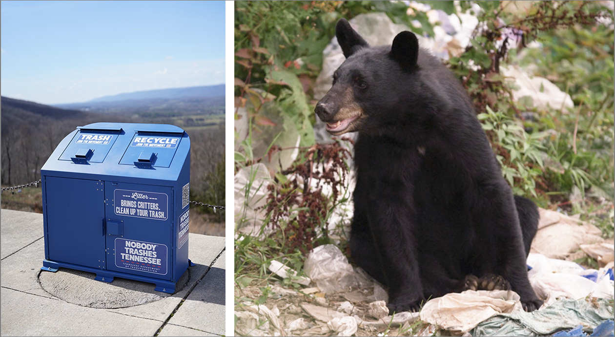 Protect Bears Safeguard Against Bears During the Summer Vacation Season - Hatchie Press