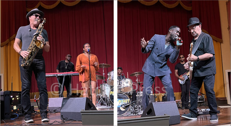Decades Night Featuring Party Planet Comes to the Luez - Hatchie Press