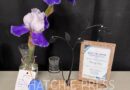 Hardeman County Extension Hosts First Annual Spring Flower Show&nbsp;