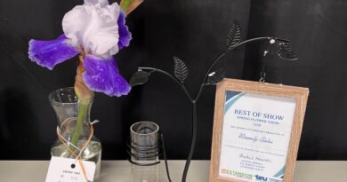 Hardeman County Extension Hosts First Annual Spring Flower Show&nbsp;