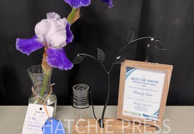 Hardeman County Extension Hosts First Annual Spring Flower Show&nbsp;