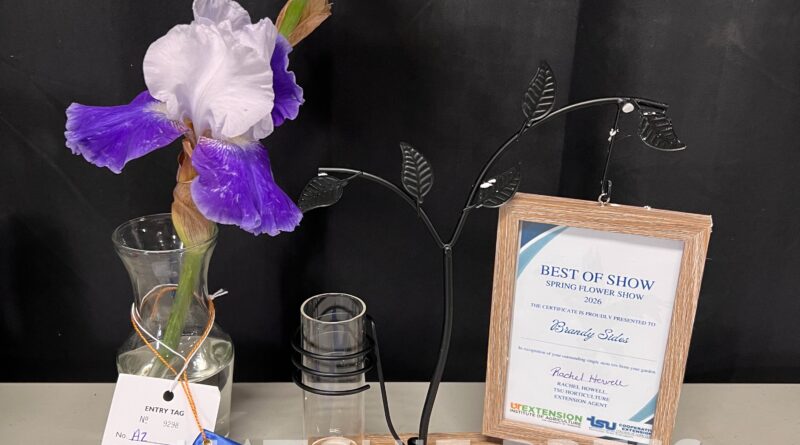 Hardeman County Extension Hosts First Annual Spring Flower Show&nbsp;