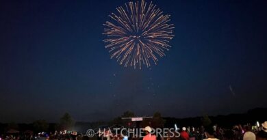 Red, White & Bolivar Independence Day Celebration Announced