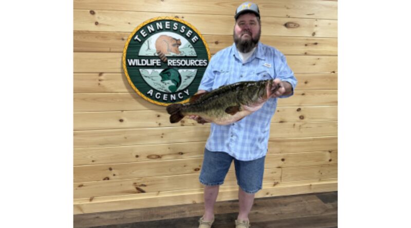 TWRA Confirms New Largemouth Bass Fishing Record