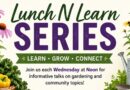 UT/TSU Extension Hosts Free Summer Lunch N Learn Series in Bolivar