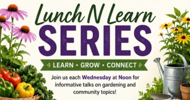 UT/TSU Extension Hosts Free Summer Lunch N Learn Series in Bolivar UT/TSU Extension Hosts Free Summer Lunch N Learn Series in Bolivar