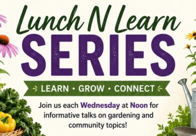 UT/TSU Extension Hosts Free Summer Lunch N Learn Series in Bolivar UT/TSU Extension Hosts Free Summer Lunch N Learn Series in Bolivar