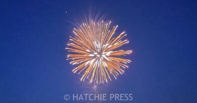 Area Fourth of July Celebrations 2026
