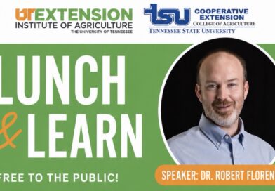 Lunch & Learn Series Continues with Program on Soil Testing