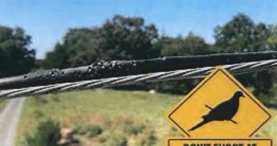 Dove Season Safety Reminder: Avoid Shooting Near Power Lines and Utility Equipment Dove Season Safety Reminder: Avoid Shooting Near Power Lines and Utility Equipment