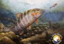 TWRA Youth Fish Art Contest Now Open